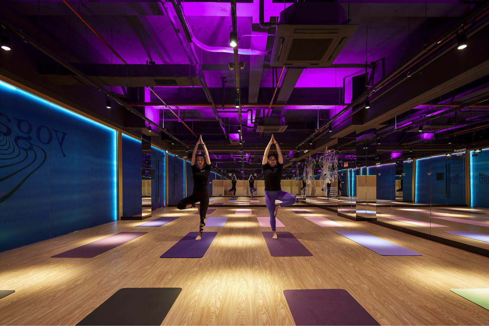 [新][新]迈博健身游泳周卡免费领-表单-金数据