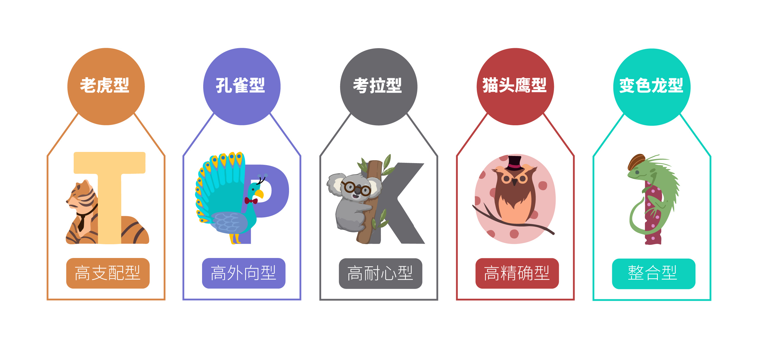 四种人格 孔雀 猫头鹰图片