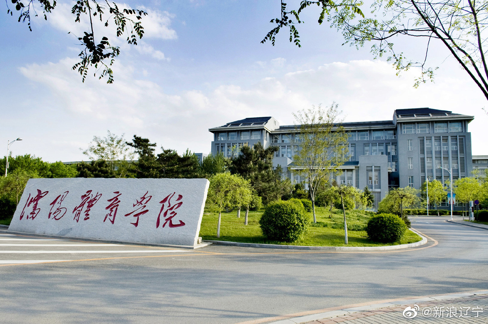 金数据隐私政策