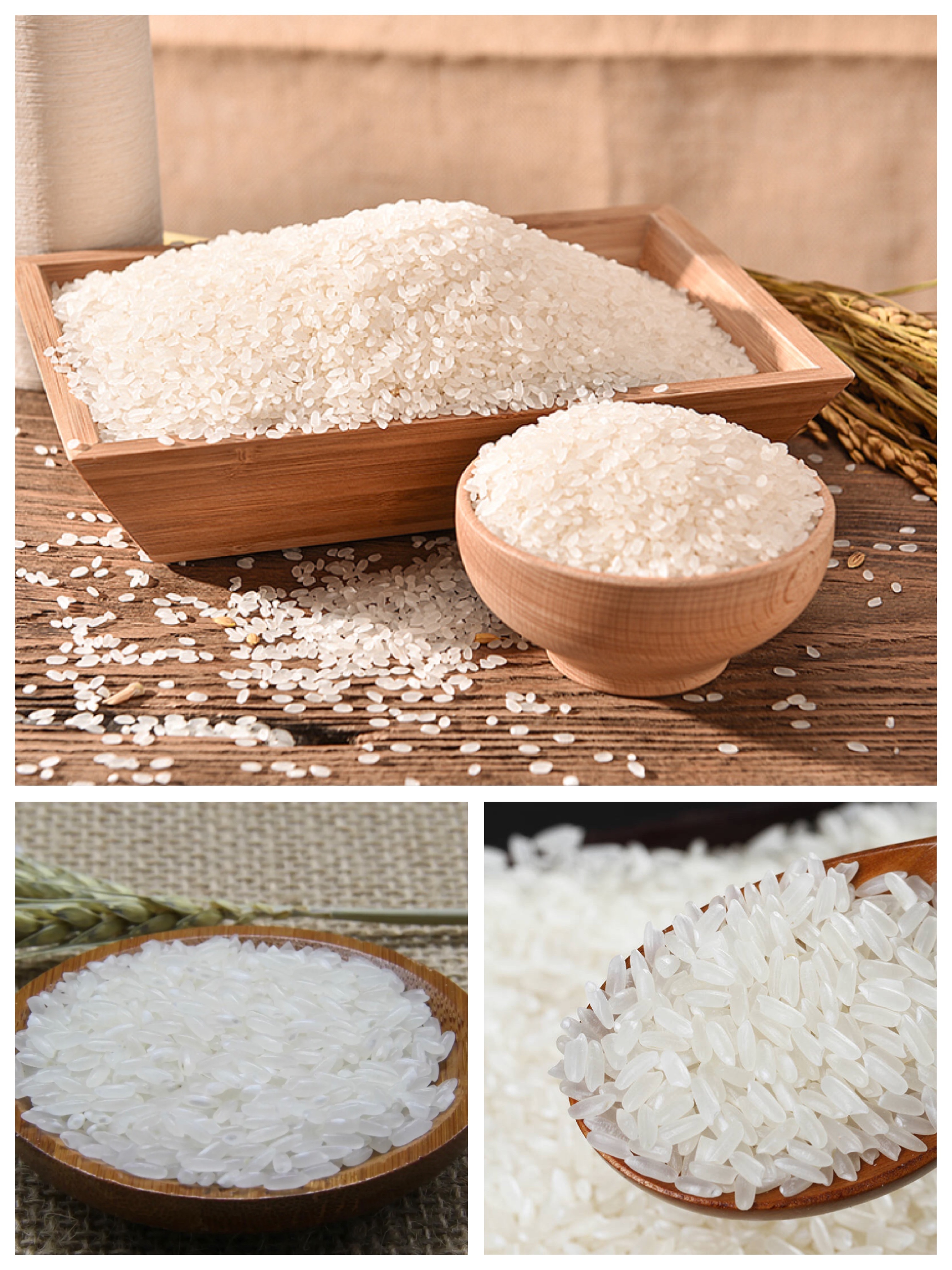 【传齐社·一齐买】第16期-东北五常大米