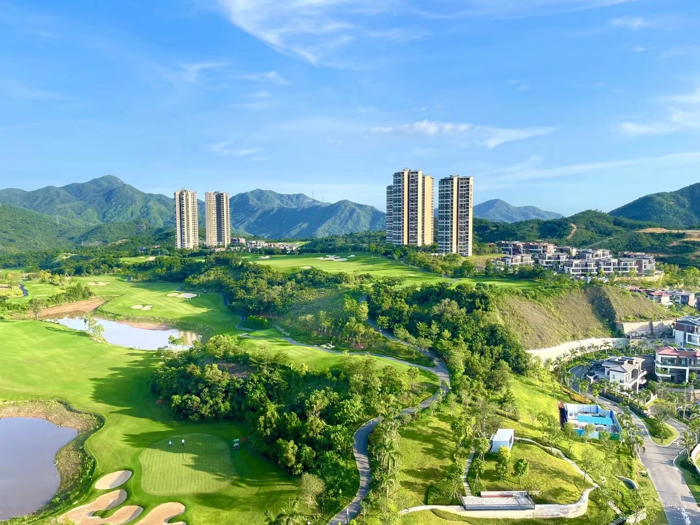 【星河山海半岛】入住预约单-表单-金数据