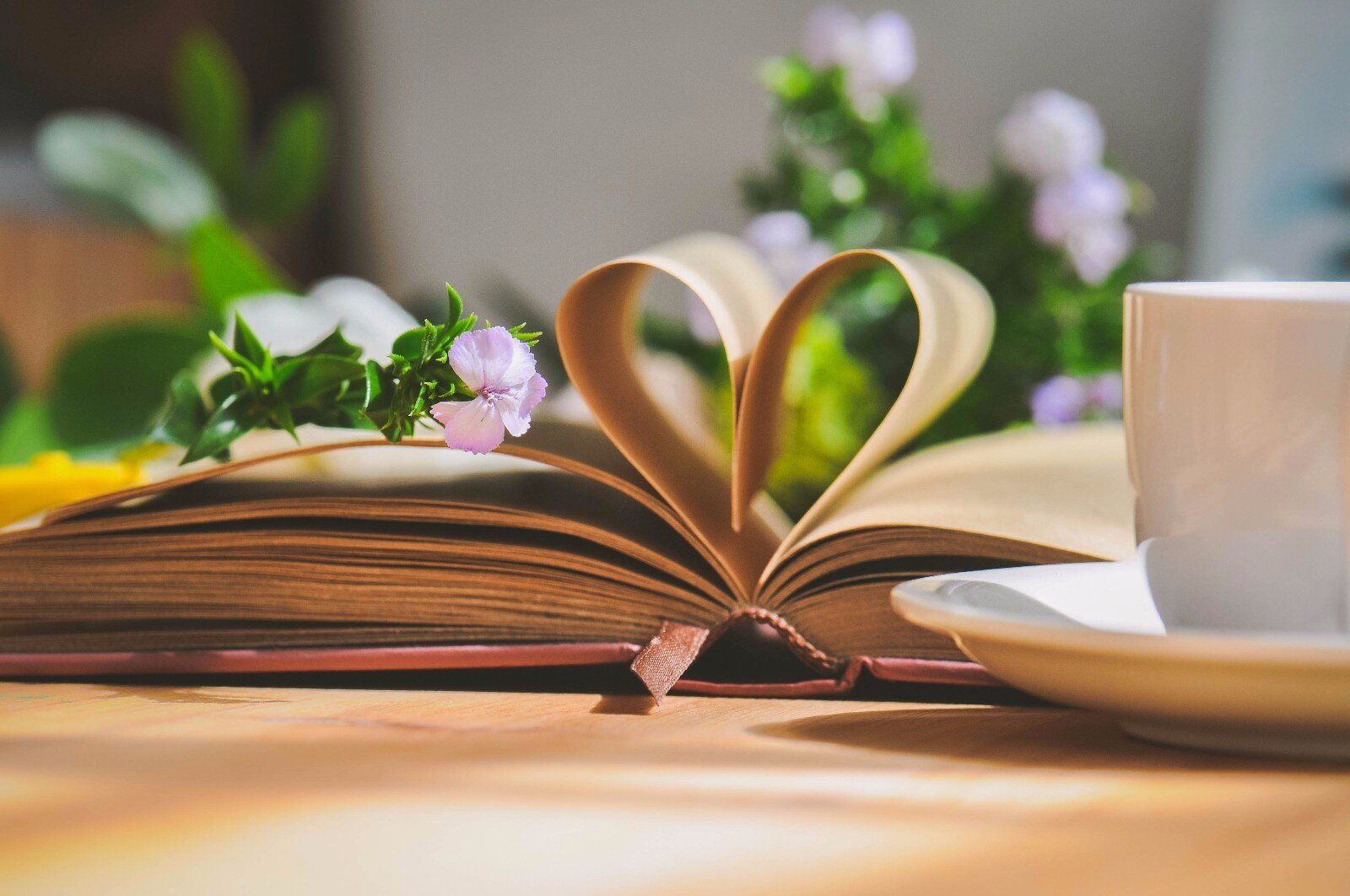 小小读书会书友反馈表