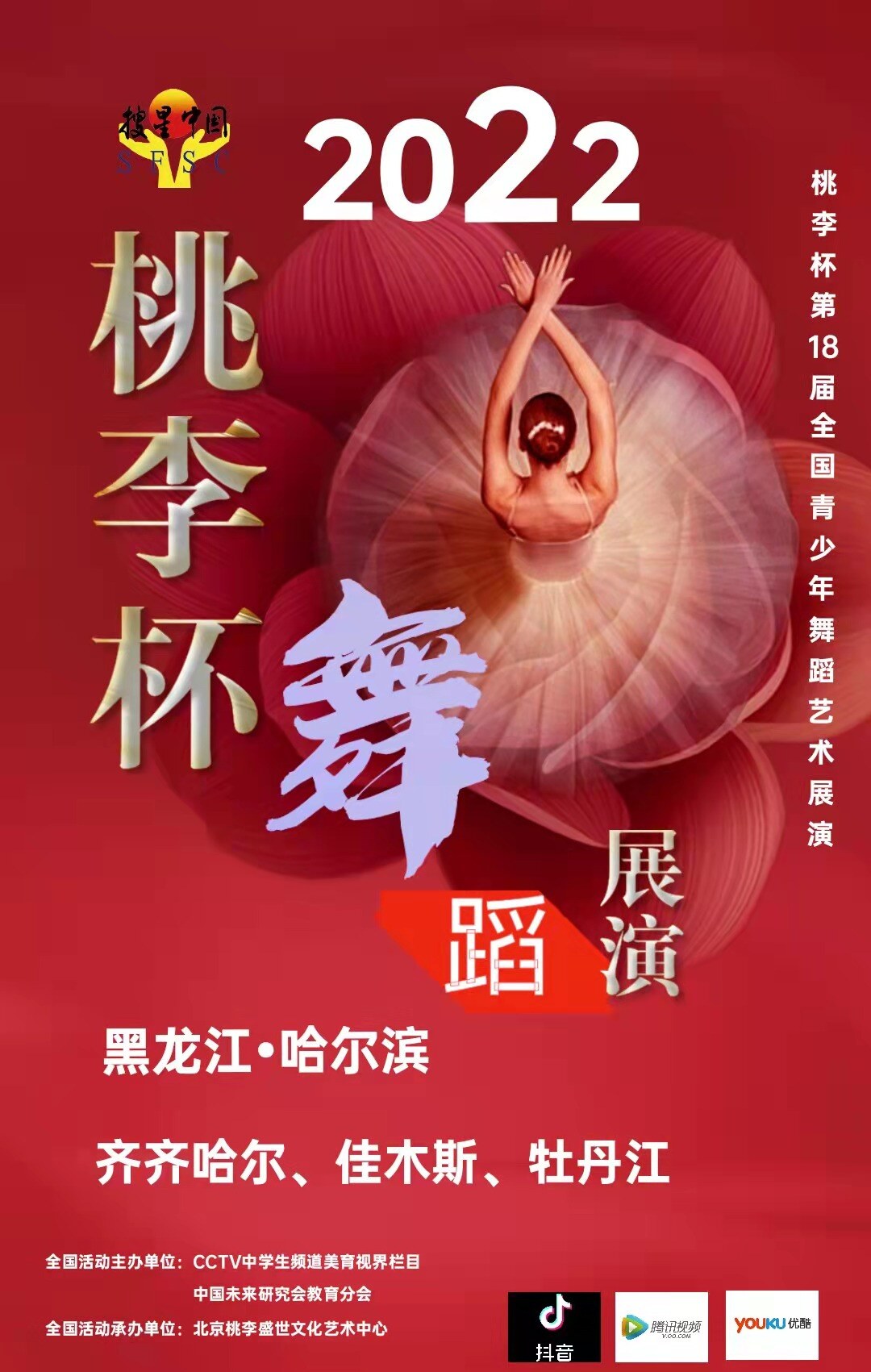 "桃李杯"第十八届全国青少年舞蹈艺术展演 黑龙江赛区-表单-金数据