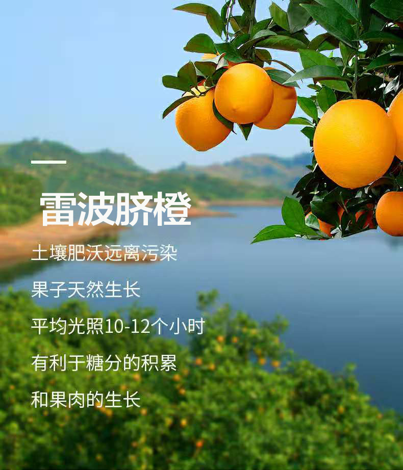 2021四川雷波脐橙订购单