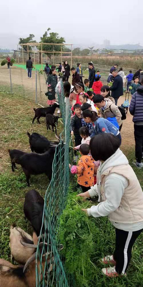 汾阳田村图片