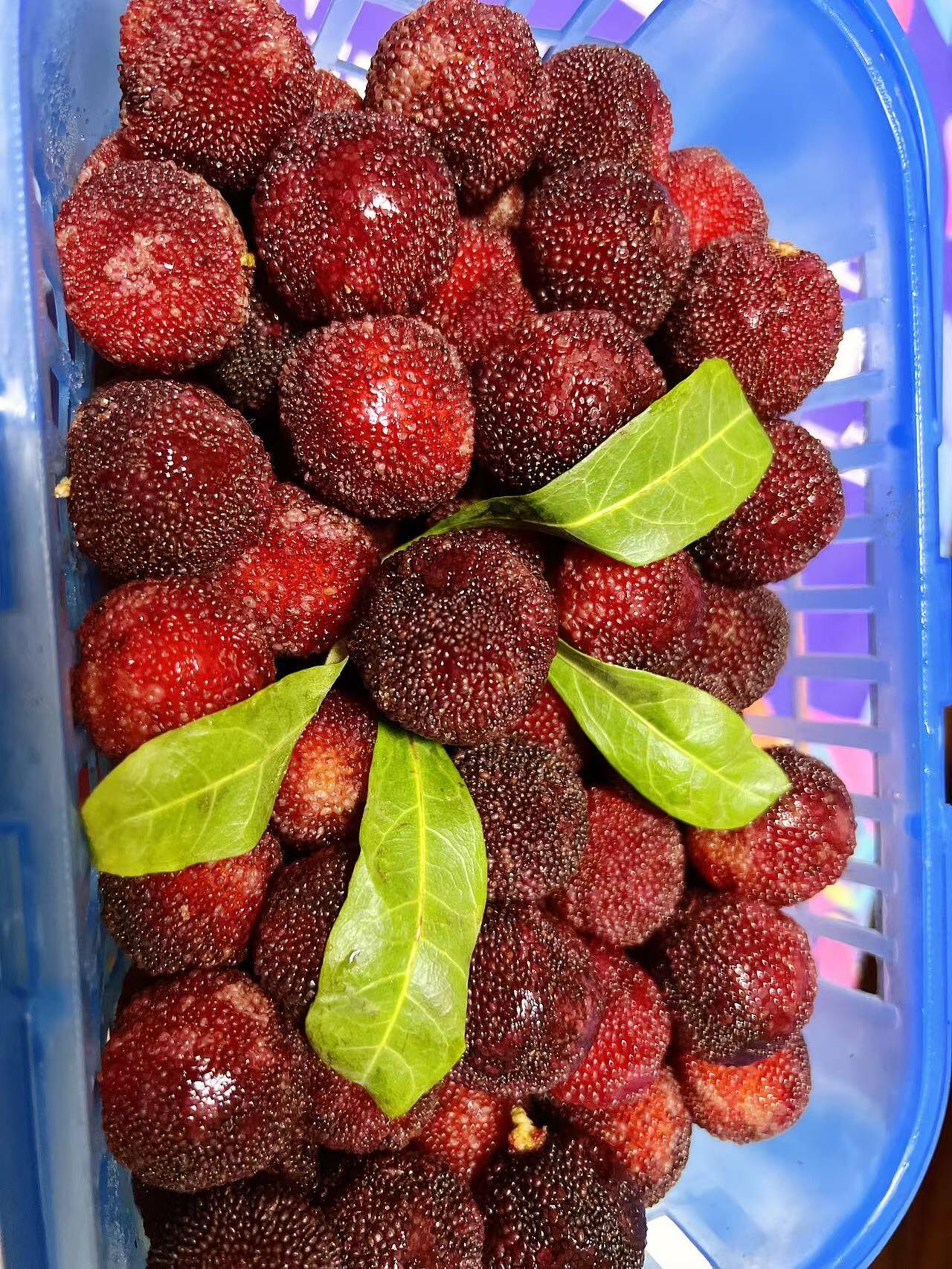 临汾花园 海南荔枝3斤/箱,150元/箱;云南杨梅4斤左右/箱(2小篮),220元