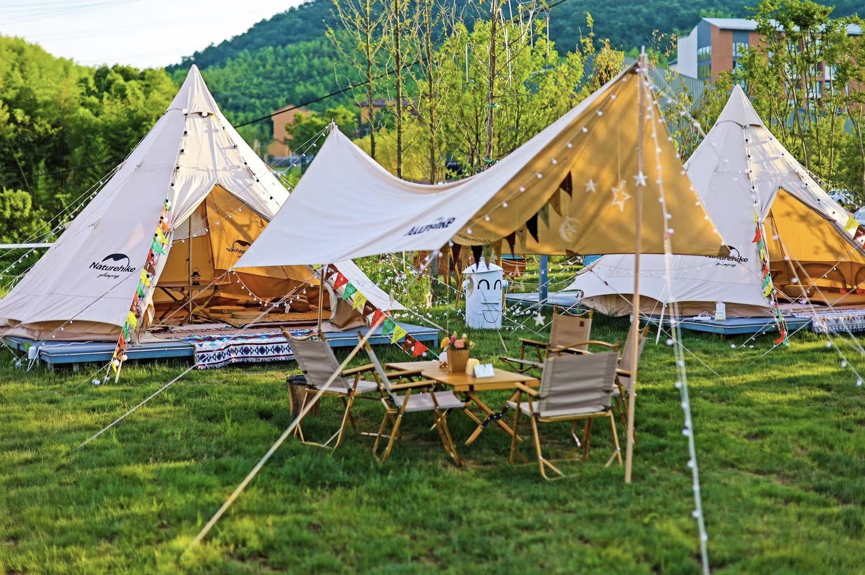 仲夏夜之梦艺术节-蕃茄田艺术首届露营艺术节-表单-金数据