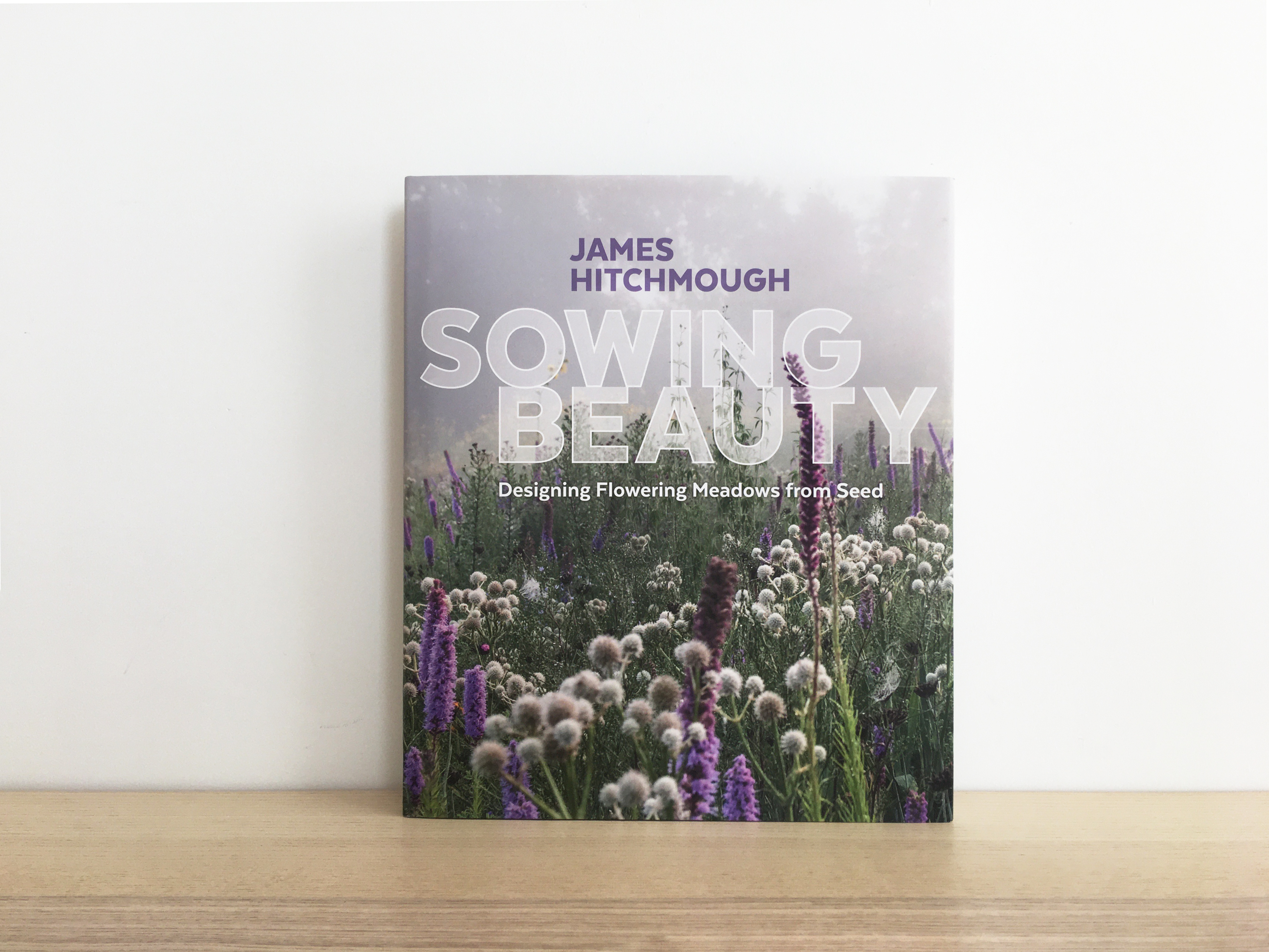 播种美丽：用种子设计开花草地