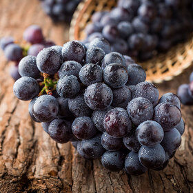 云南红河夏黑葡萄(450g)