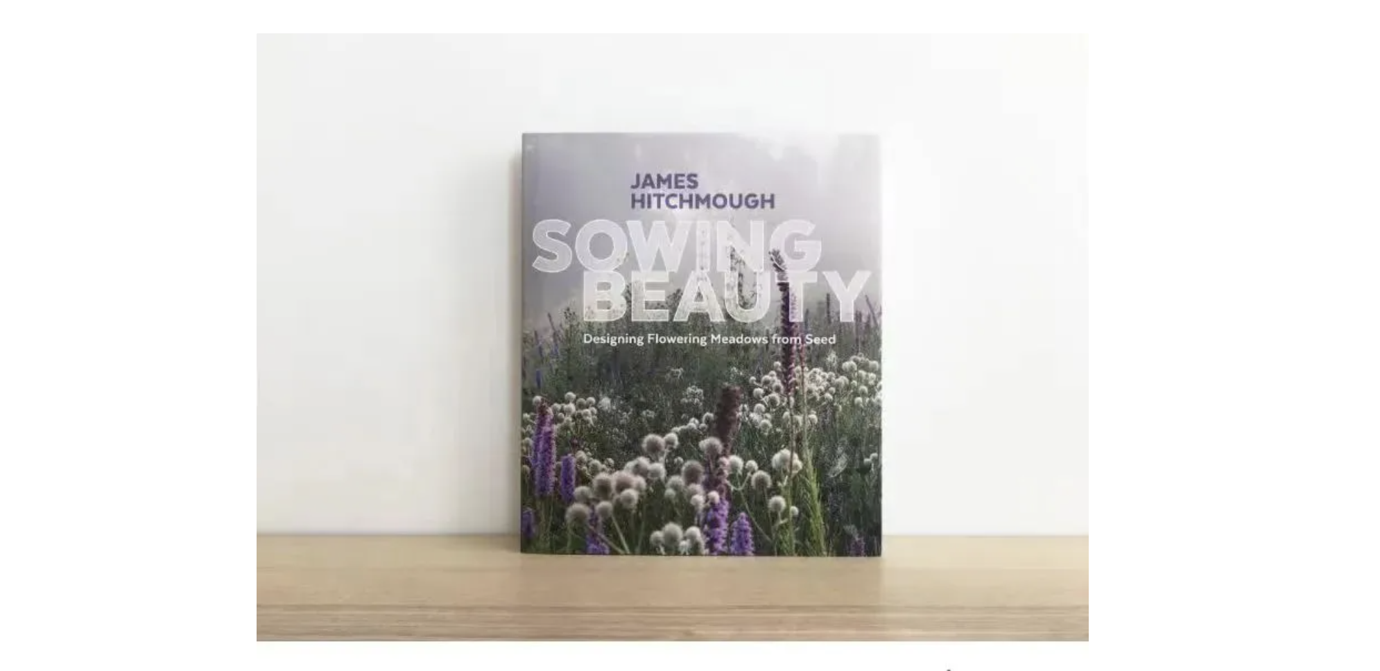 播种美丽：用种子设计开花草地 Sowing Beauty: Designing Flowering Meadows from Seed