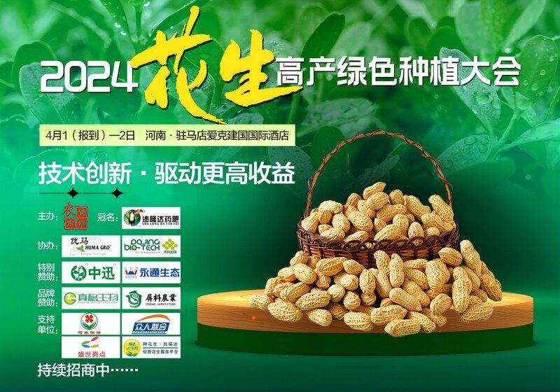 火爆進行中！2024花生產業高質量發展大會在線報名