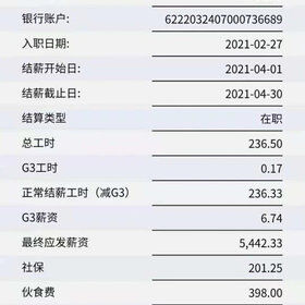 中国工商银行工资流水证明-表单-金数据