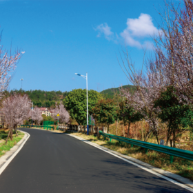 湖北最美乡村公路图片